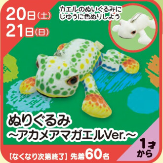『あそびにっく』ぬりぐるみ～アカメアマガエルVer.～