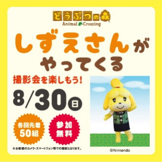 どうぶつの森　しずえさんがやってくる