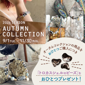2026 Autumn Collection販売開始