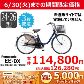 【6/30（火)までの期間限定価格】