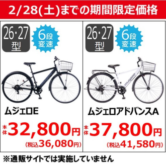 【2/28（土)までの期間限定価格】