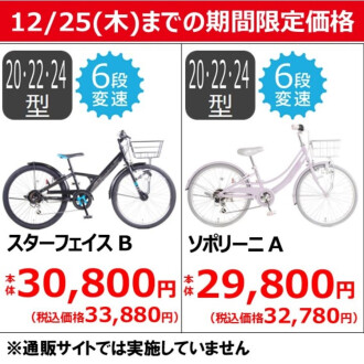 【12/25（木)までの期間限定価格】