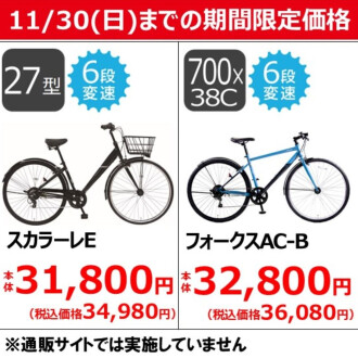 【11/30（日)までの期間限定価格】