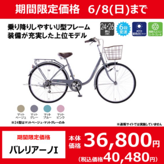 【期間限定価格！6/8（日）まで】