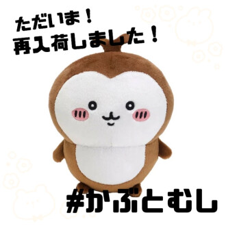 帰ってきた!かぶとむし!
